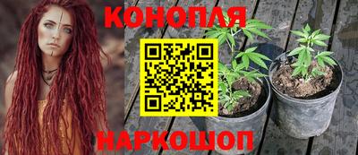 каннабис Бийск