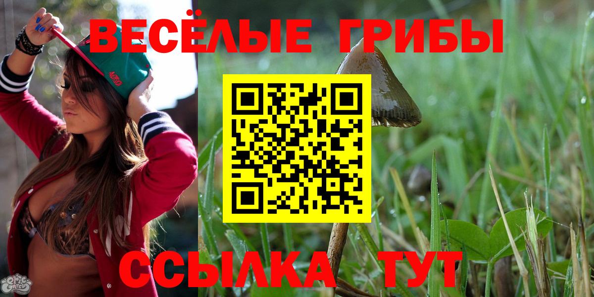 Псилоцибиновые грибы MAGIC MUSHROOMS Керчь